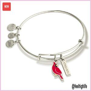 Adjustable Silver-Tone Bangle Bracelet with Cardinal Charm Strength Symbol